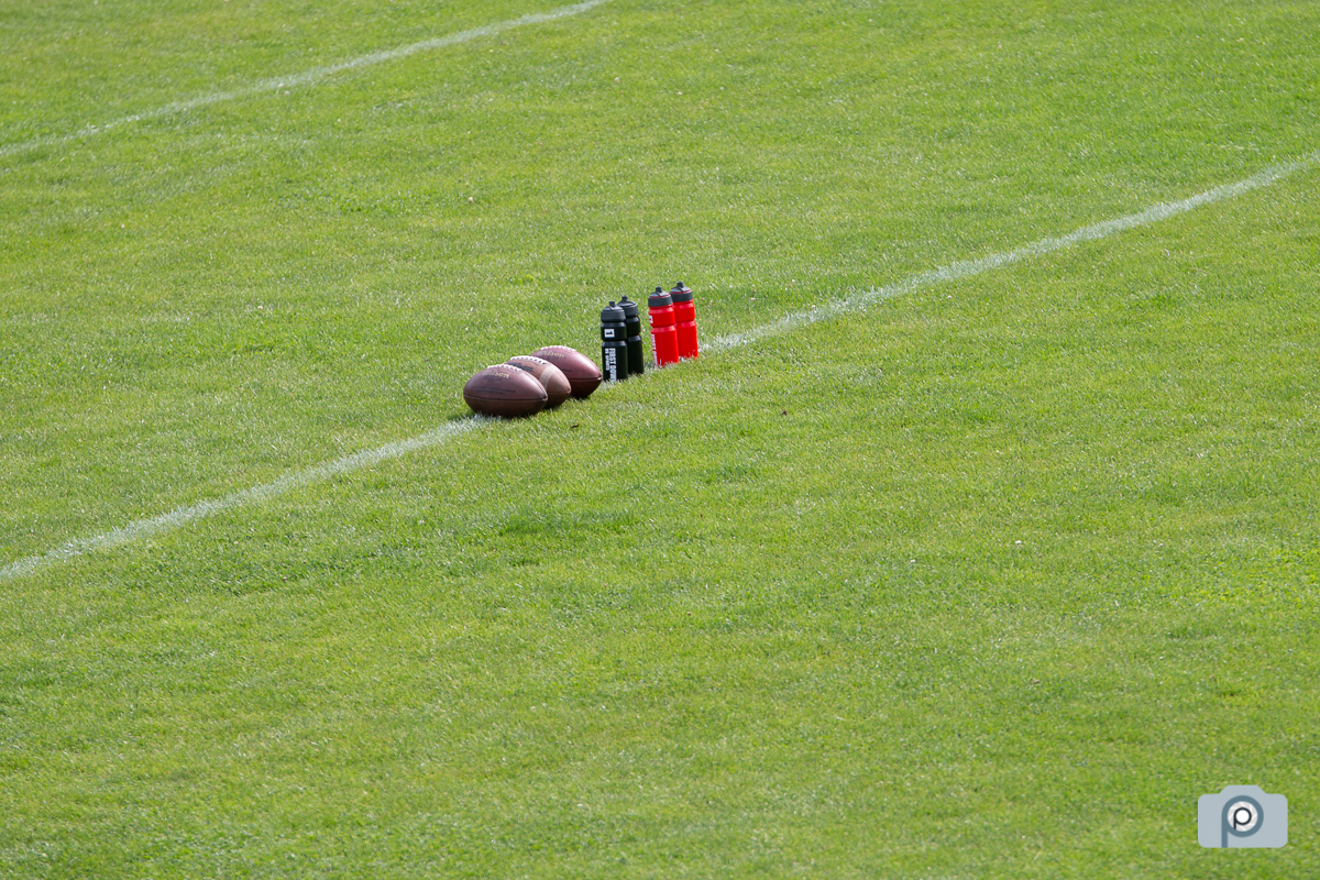 DFFL2019_01092019_vs_Hildesheim_0005.jpg