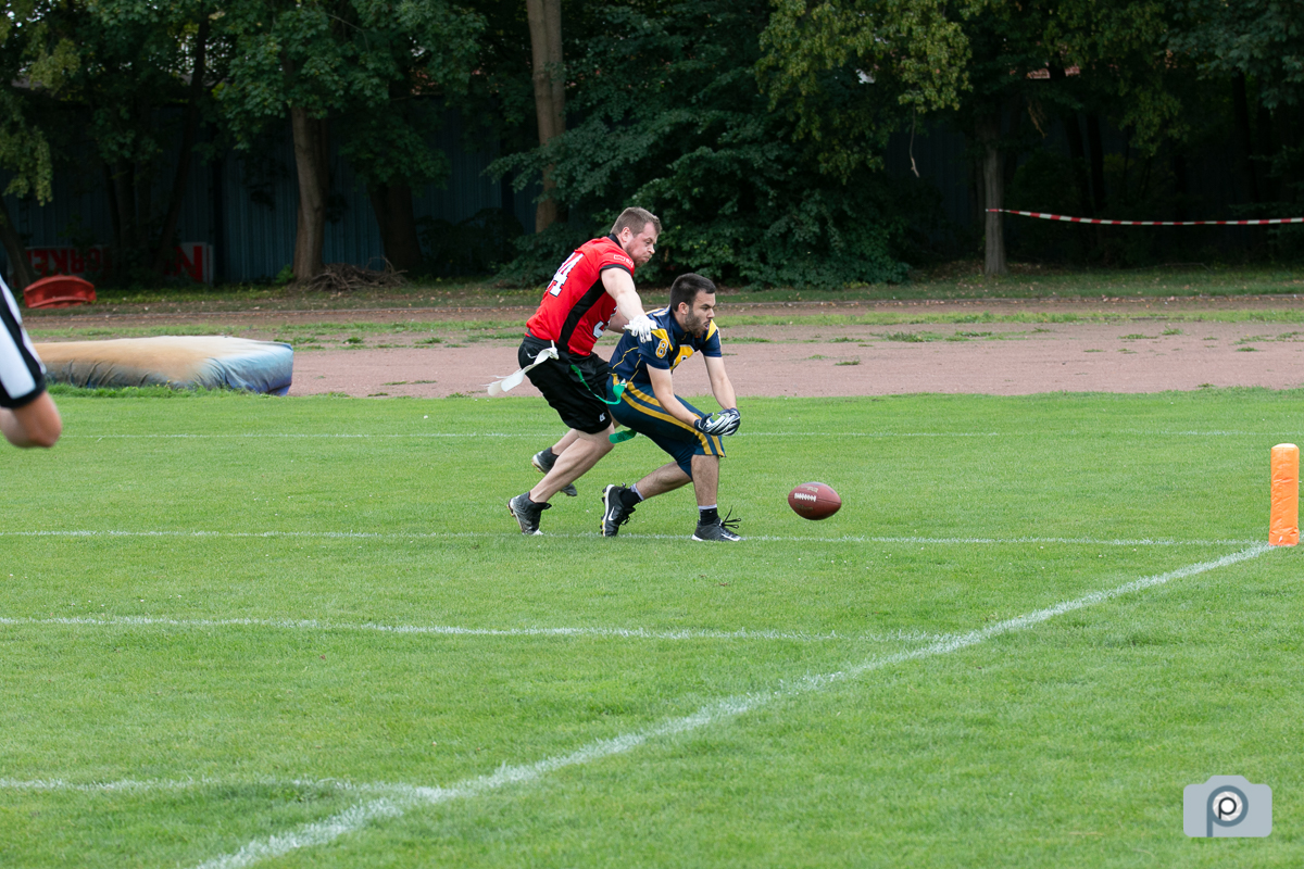 DFFL2019_01092019_vs_Hildesheim_0056.jpg