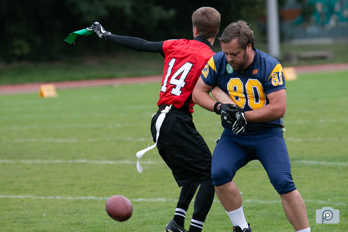 DFFL2019_01092019_vs_Hildesheim_0067.jpg