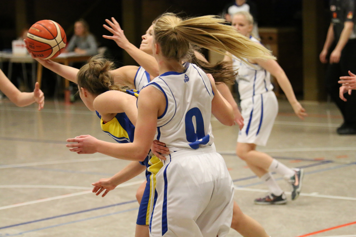 Vorschau_2017-01-21_vs_Oldenburg_(Bue-rgerfelder_TB).jpg