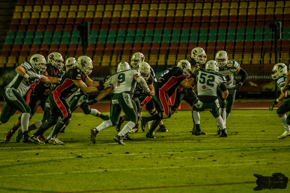 IMG_0746.jpg