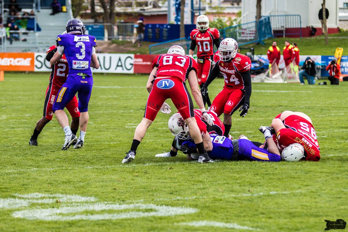 IMG_7673.jpg