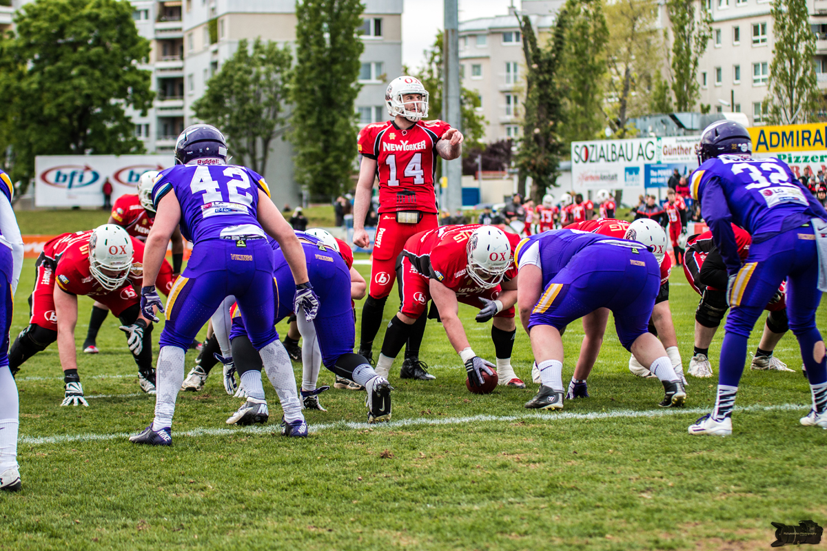 IMG_7850.jpg