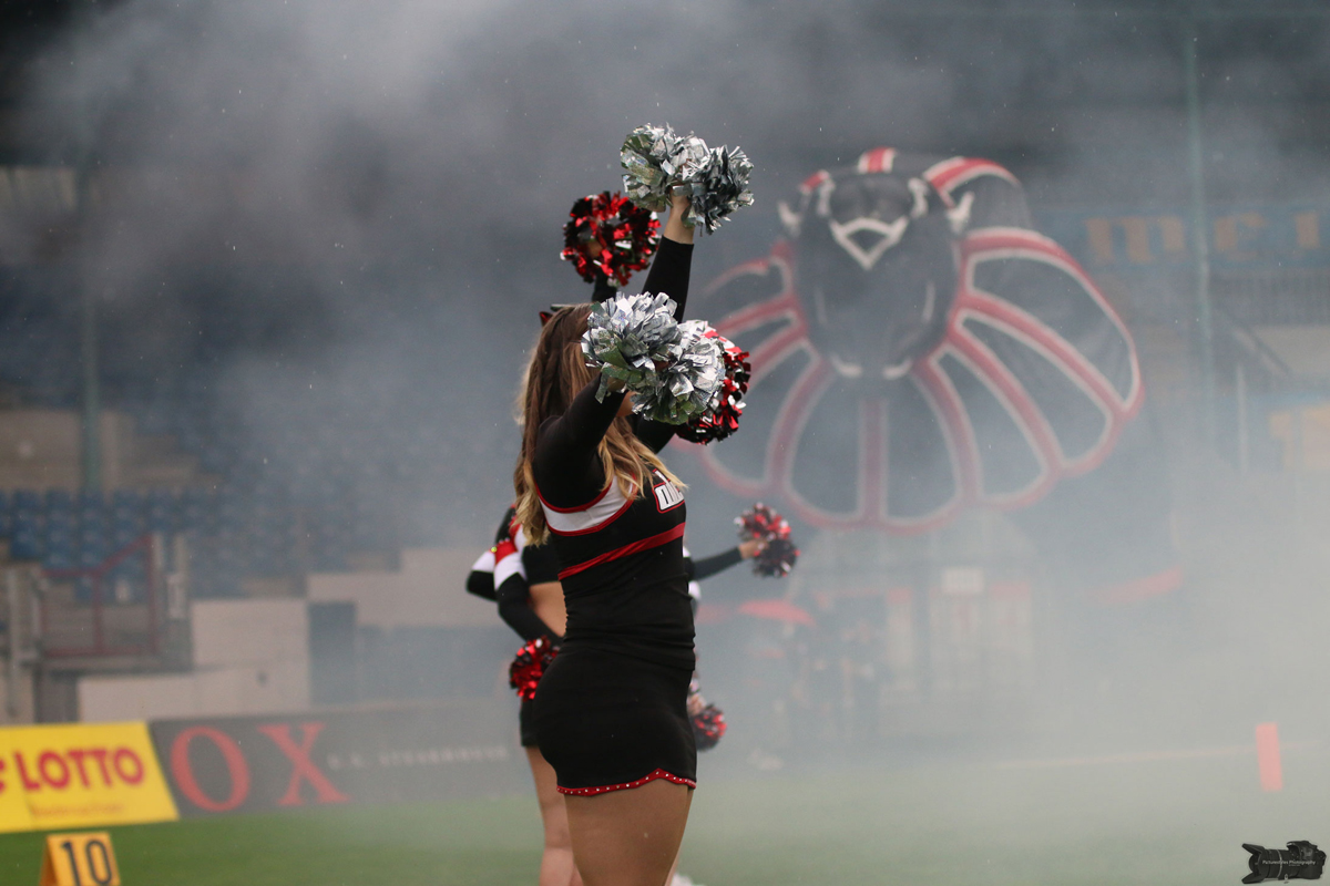 IMG_8412.jpg