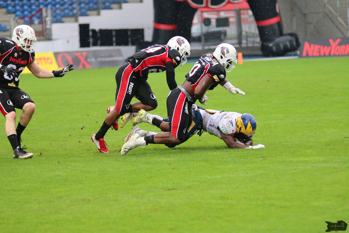 IMG_8459.jpg