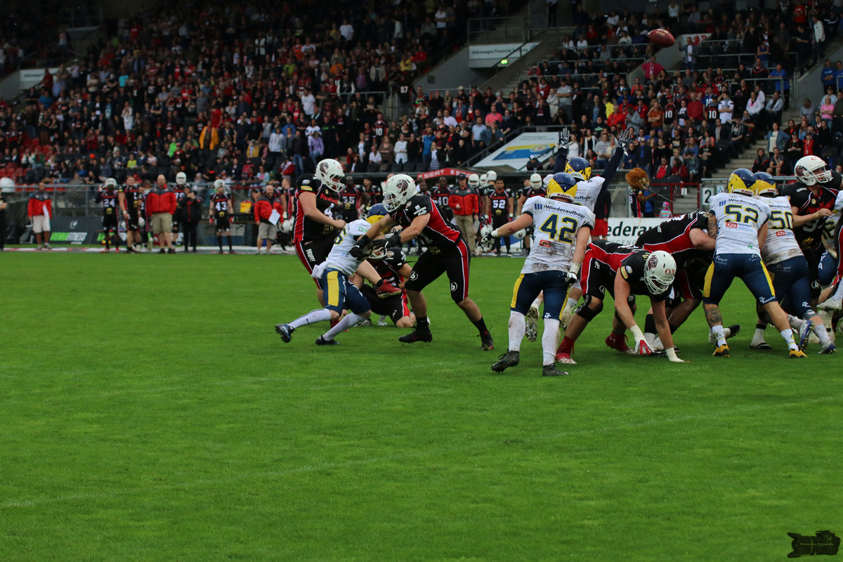 IMG_8503.jpg