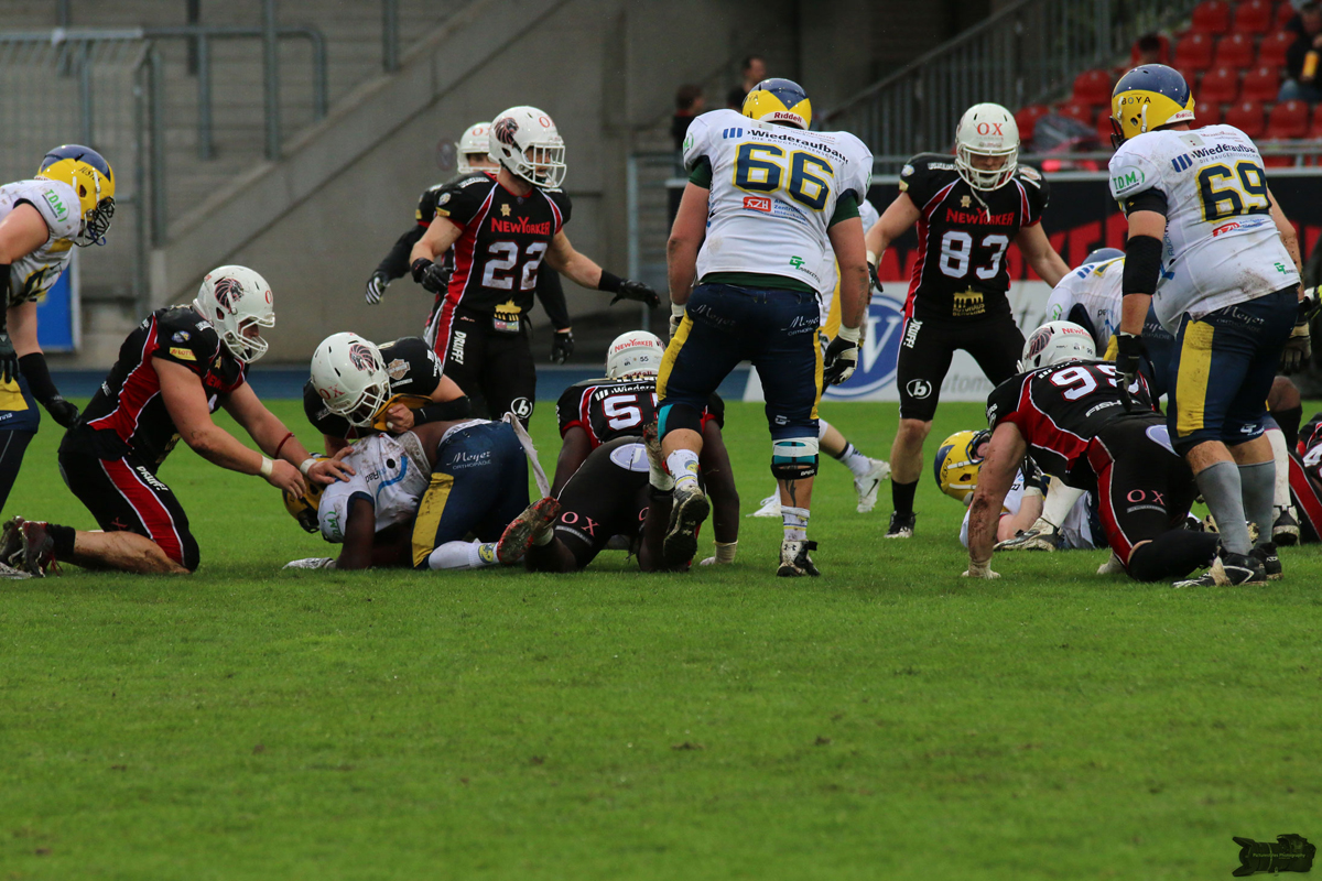 IMG_8519.jpg