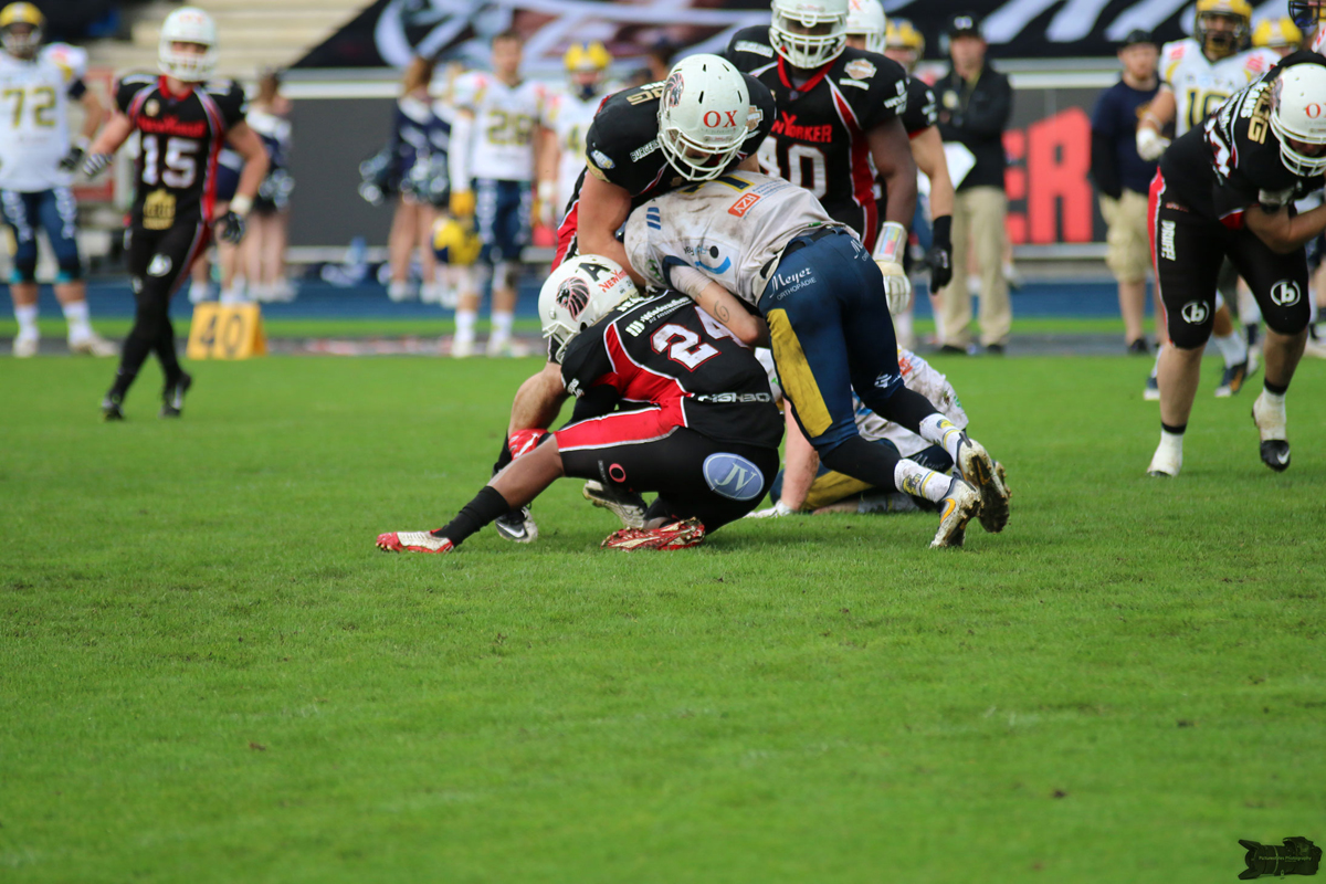 IMG_8646.jpg