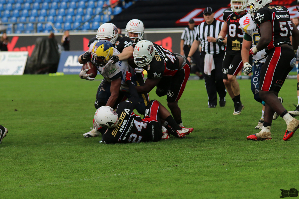 IMG_8648.jpg