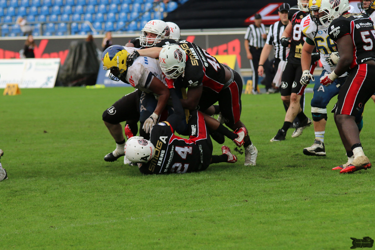 IMG_8649.jpg