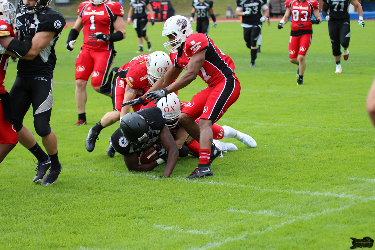 IMG_3410.jpg