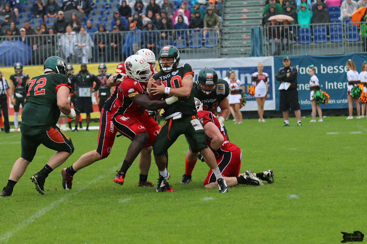 IMG_3838.jpg
