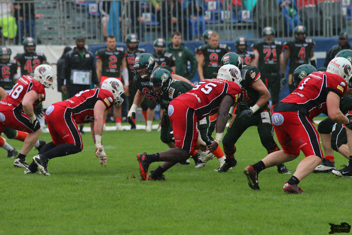 IMG_3848.jpg