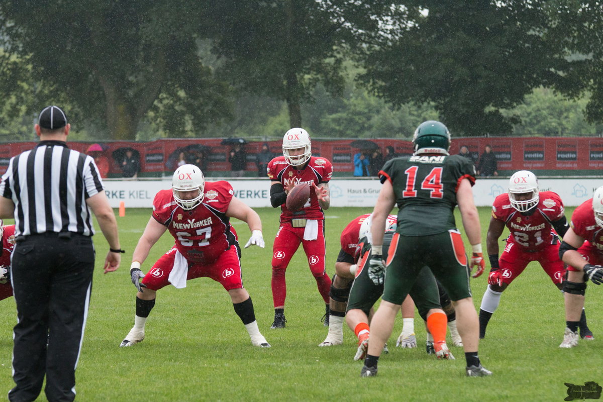 IMG_3925.jpg