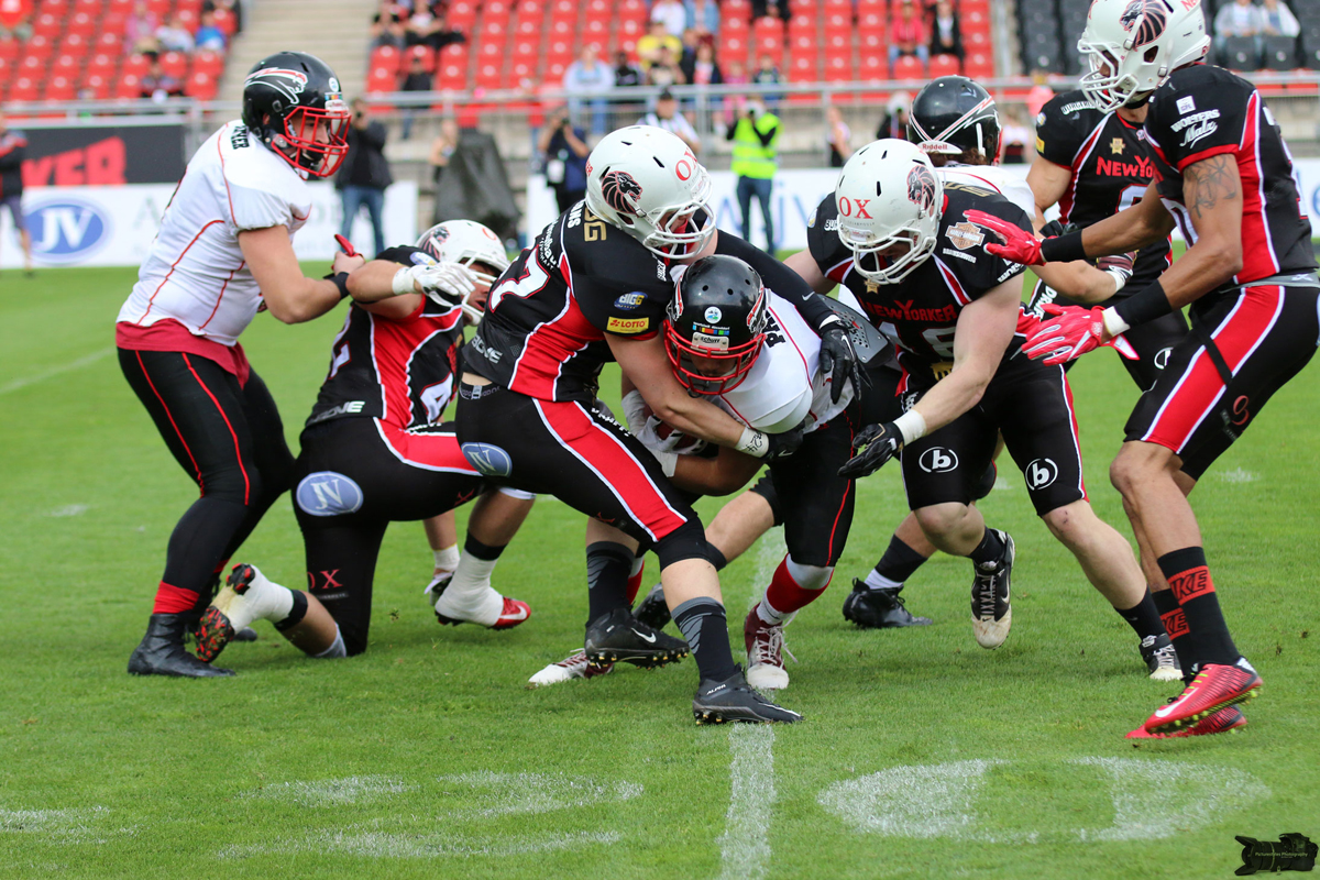 IMG_4516.jpg