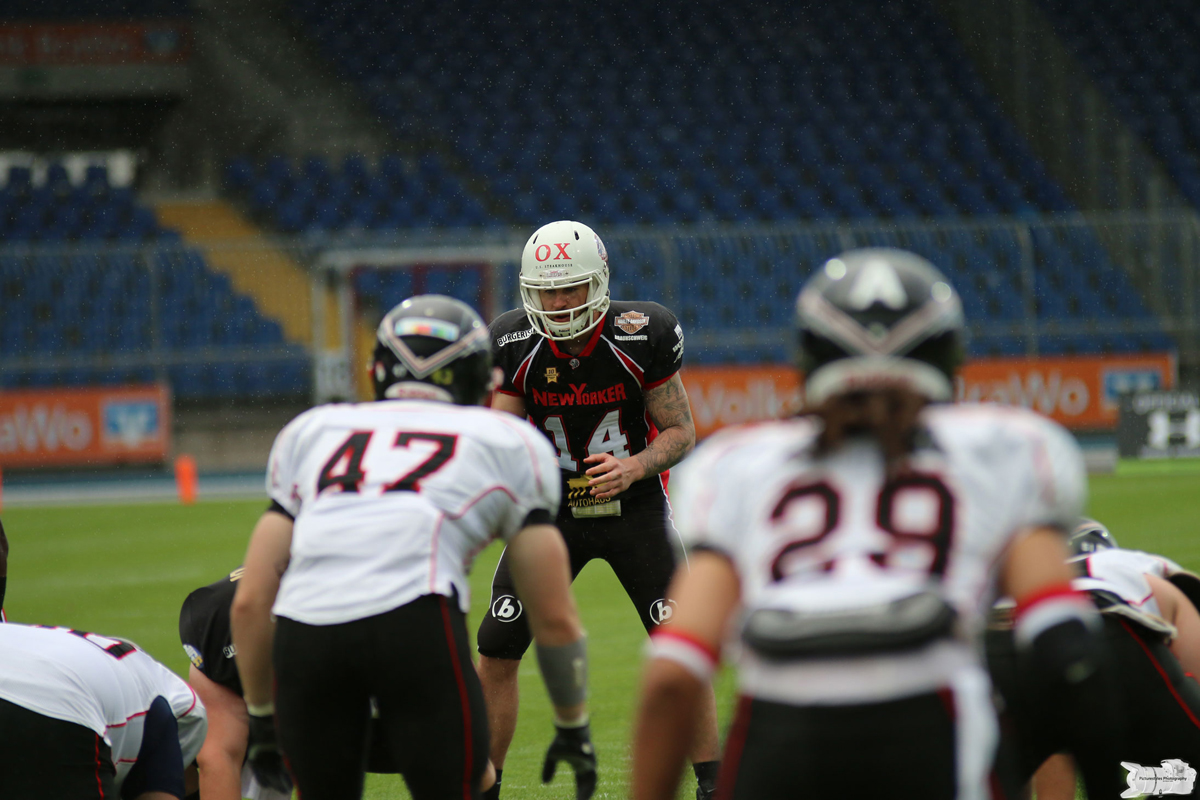 IMG_4567.jpg