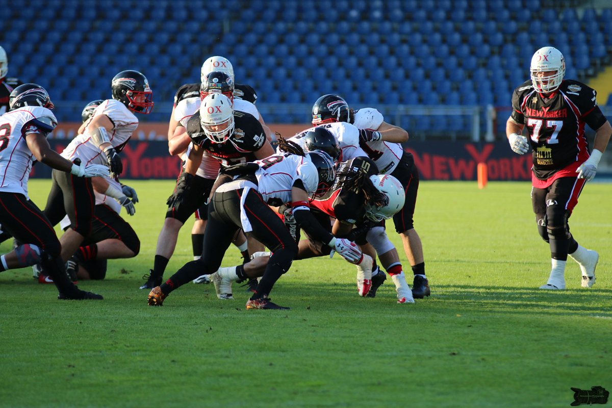 IMG_4939.jpg