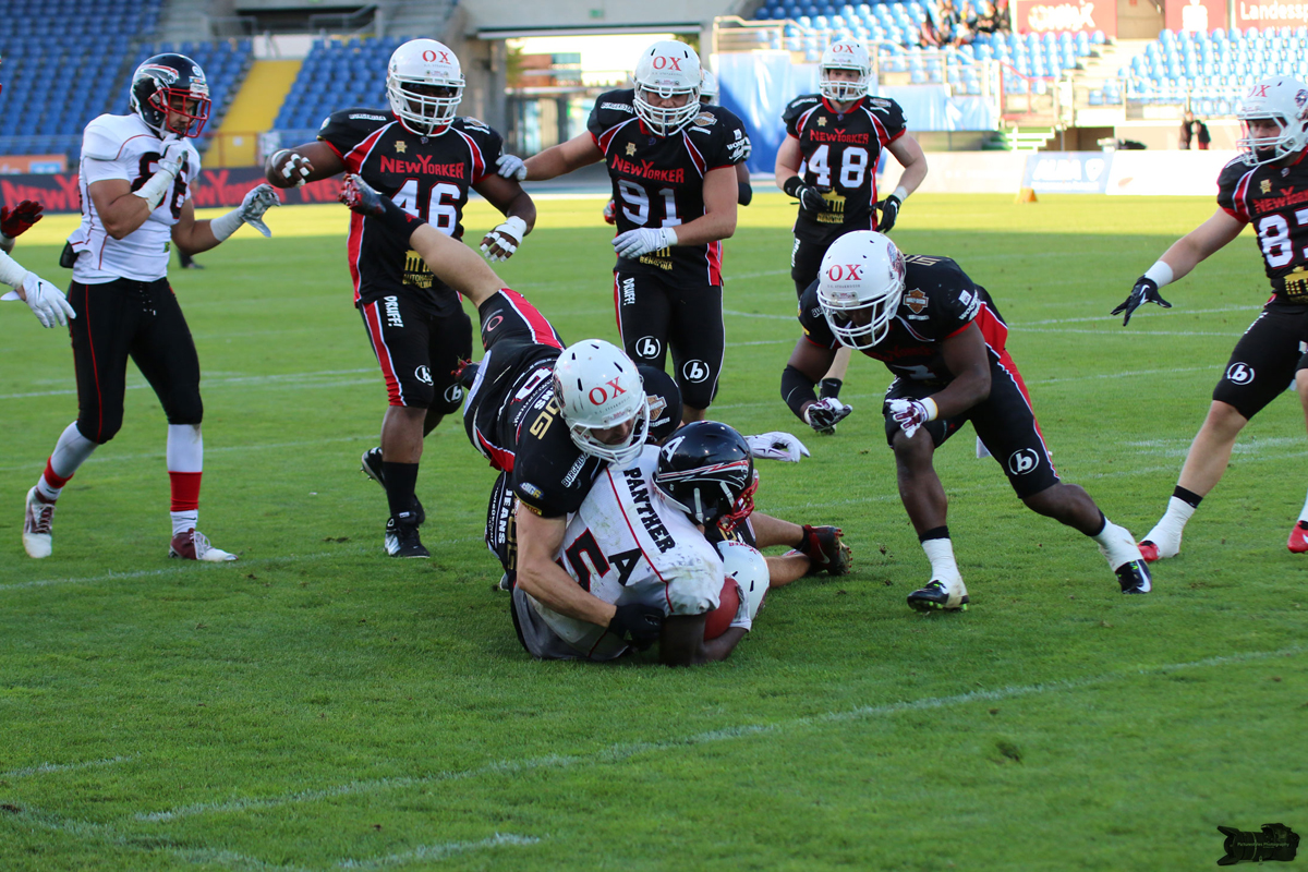 IMG_4963.jpg