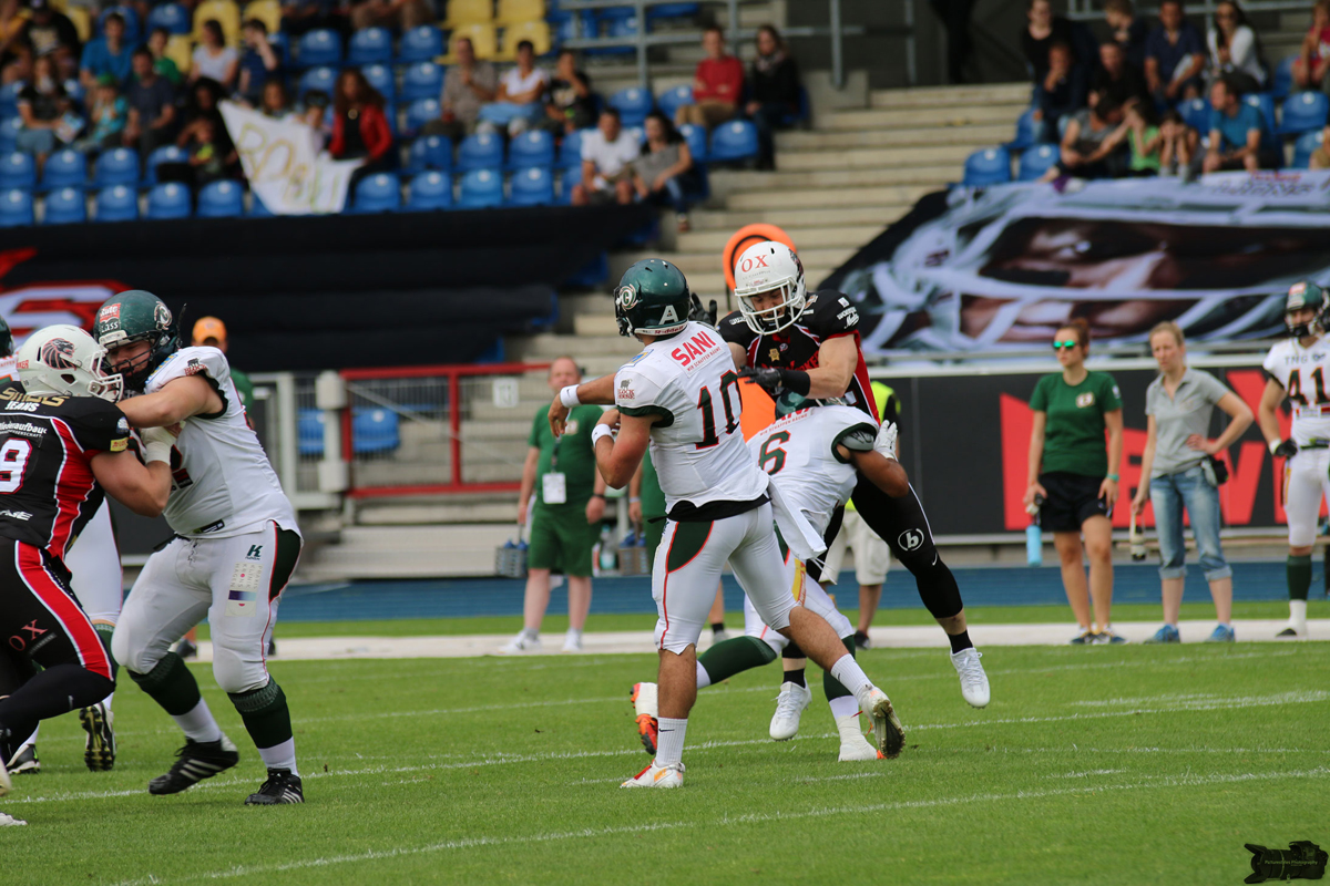 IMG_5516.jpg