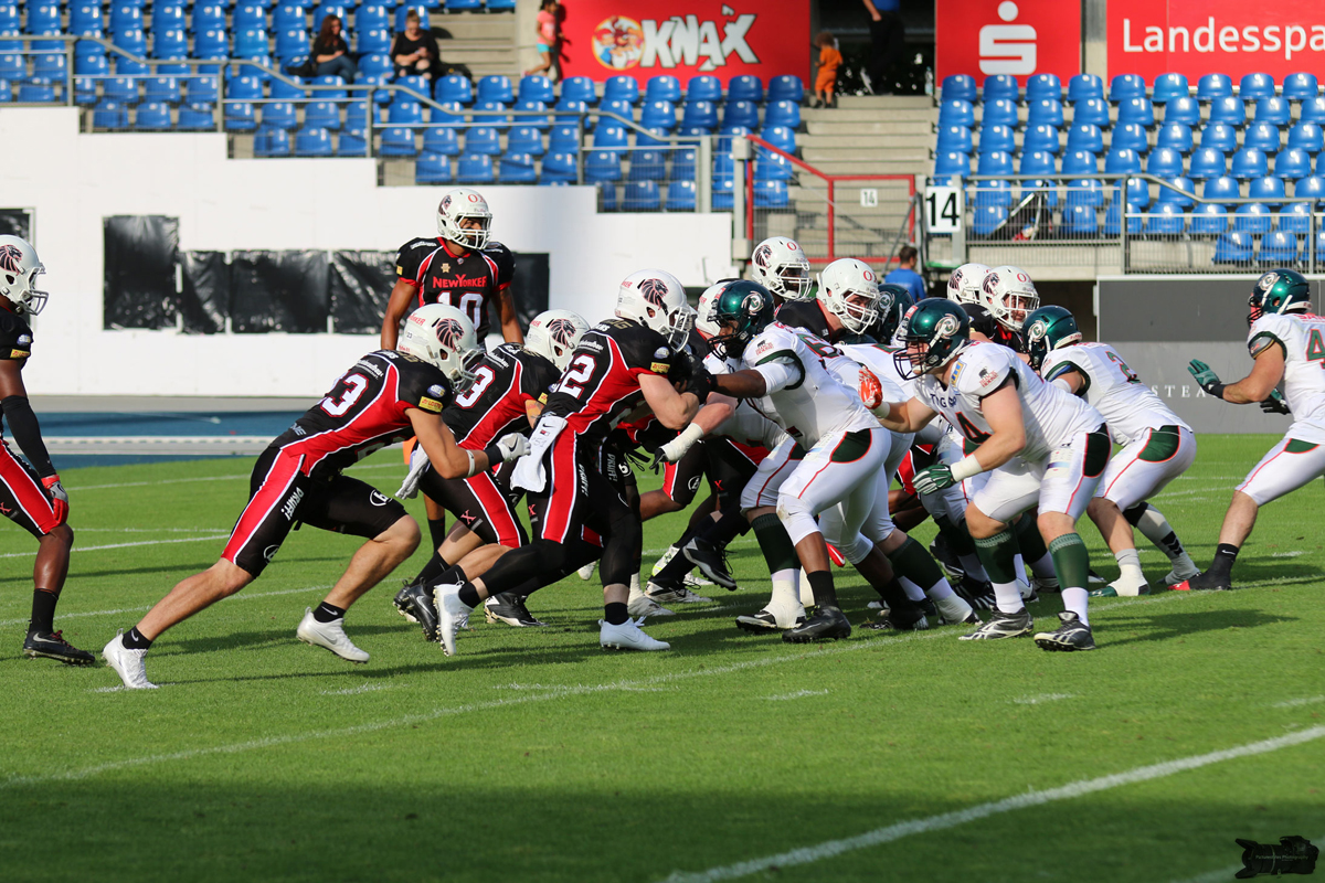 IMG_5546.jpg