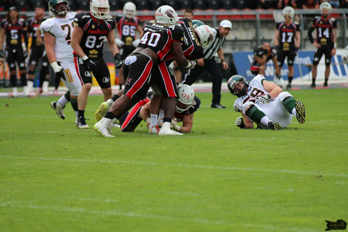 IMG_5649.jpg
