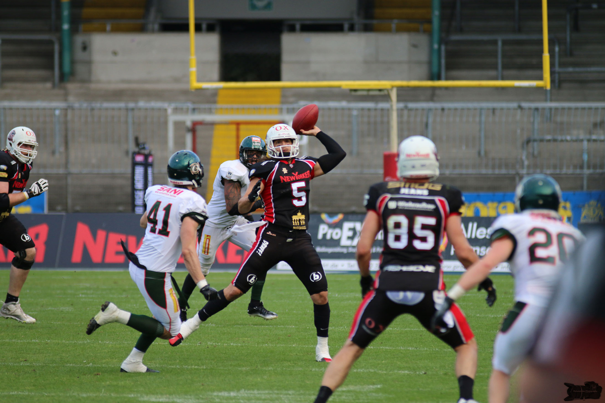 IMG_5763.jpg