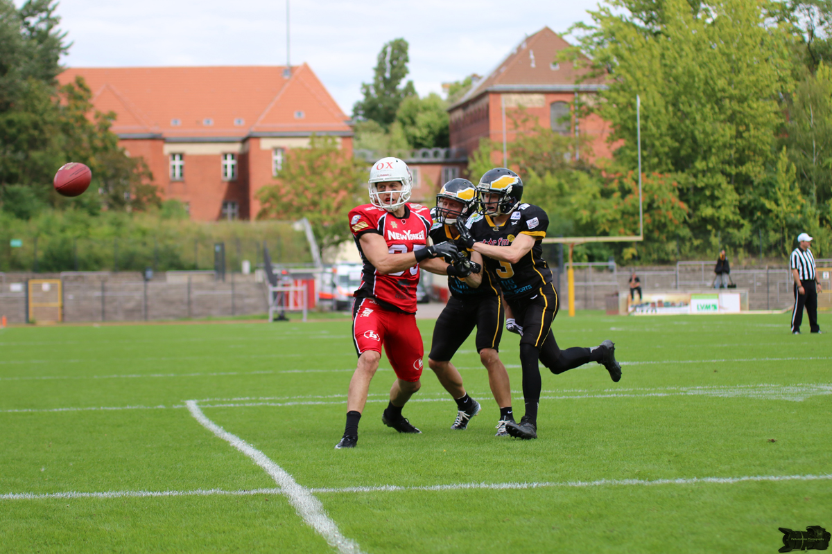 IMG_6731.jpg