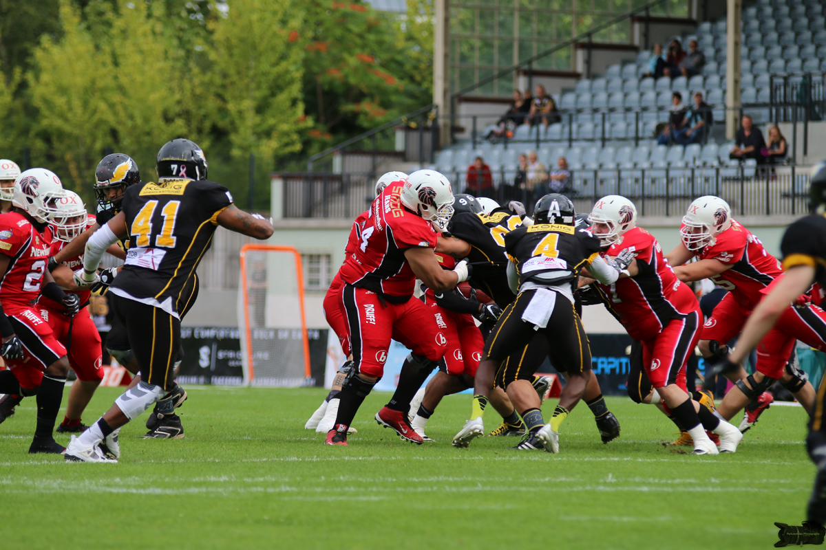 IMG_6734.jpg