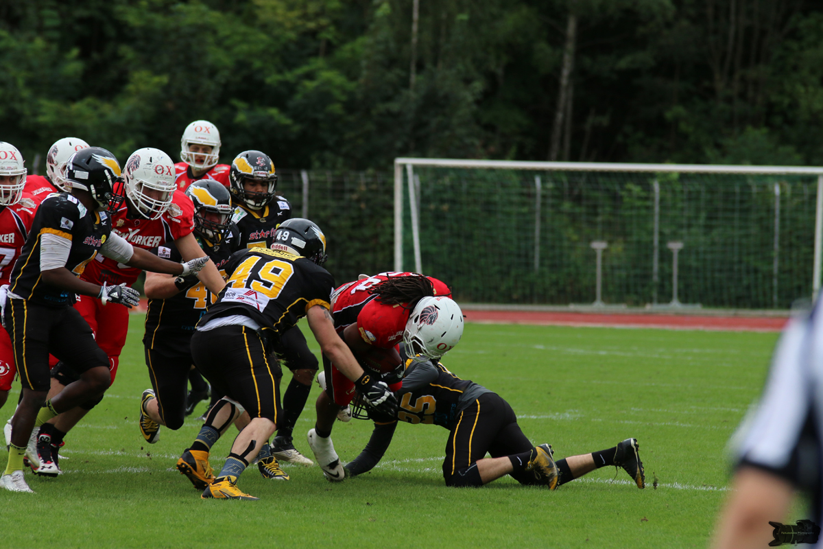 IMG_7013.jpg