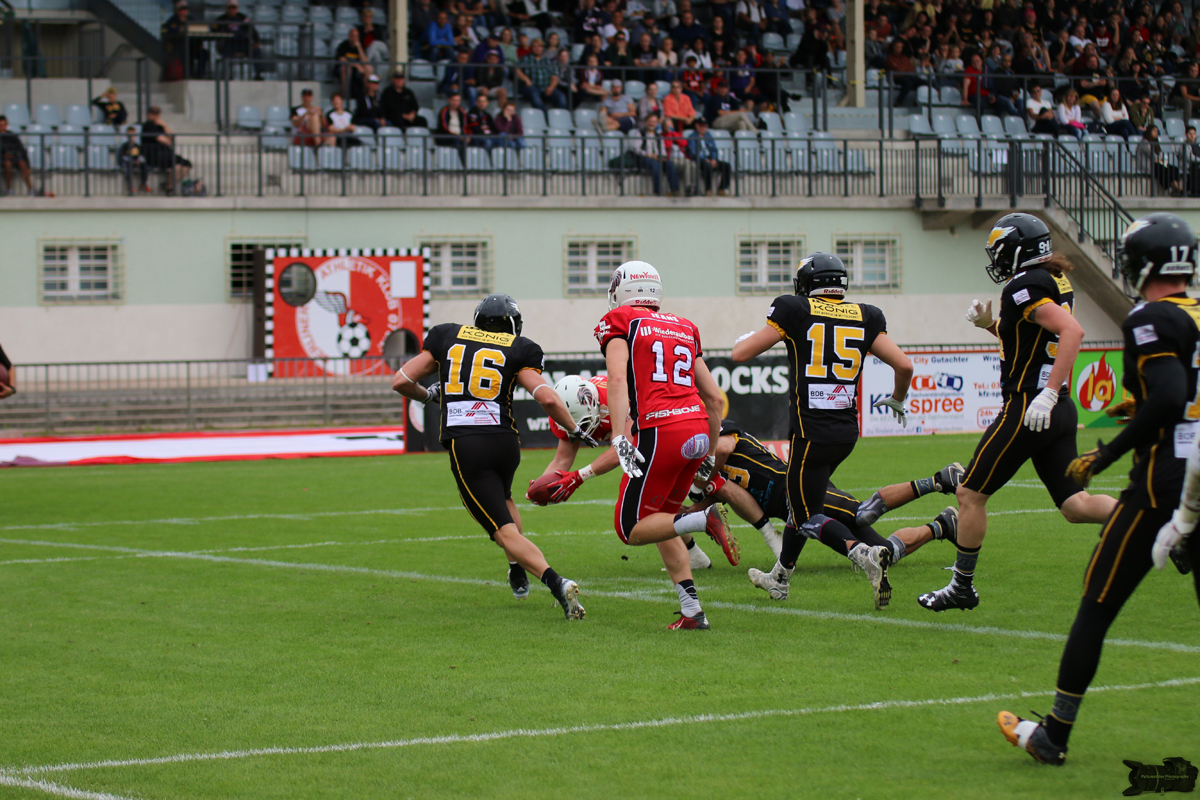 IMG_7081.jpg