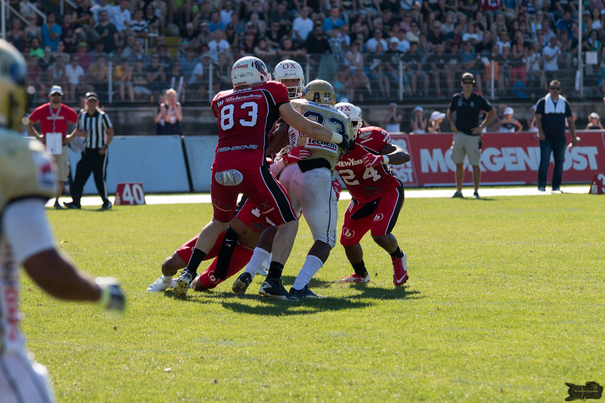 IMG_9010.jpg