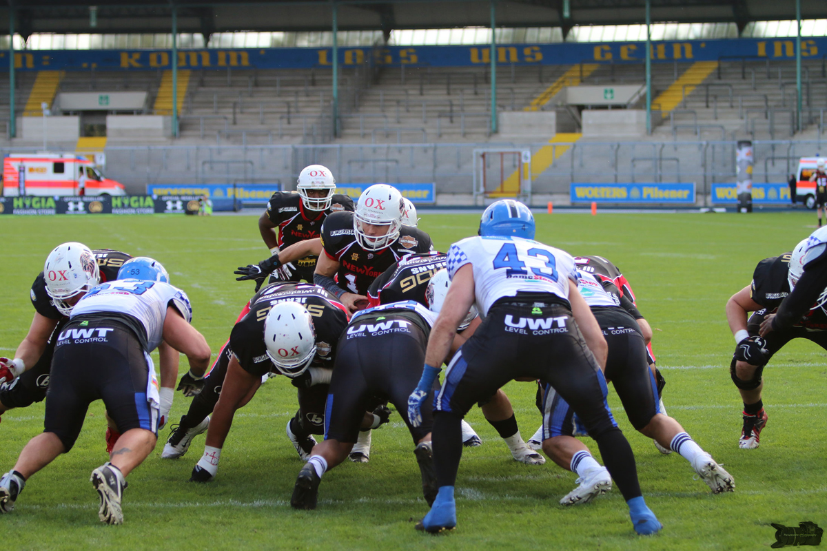 IMG_1245.jpg