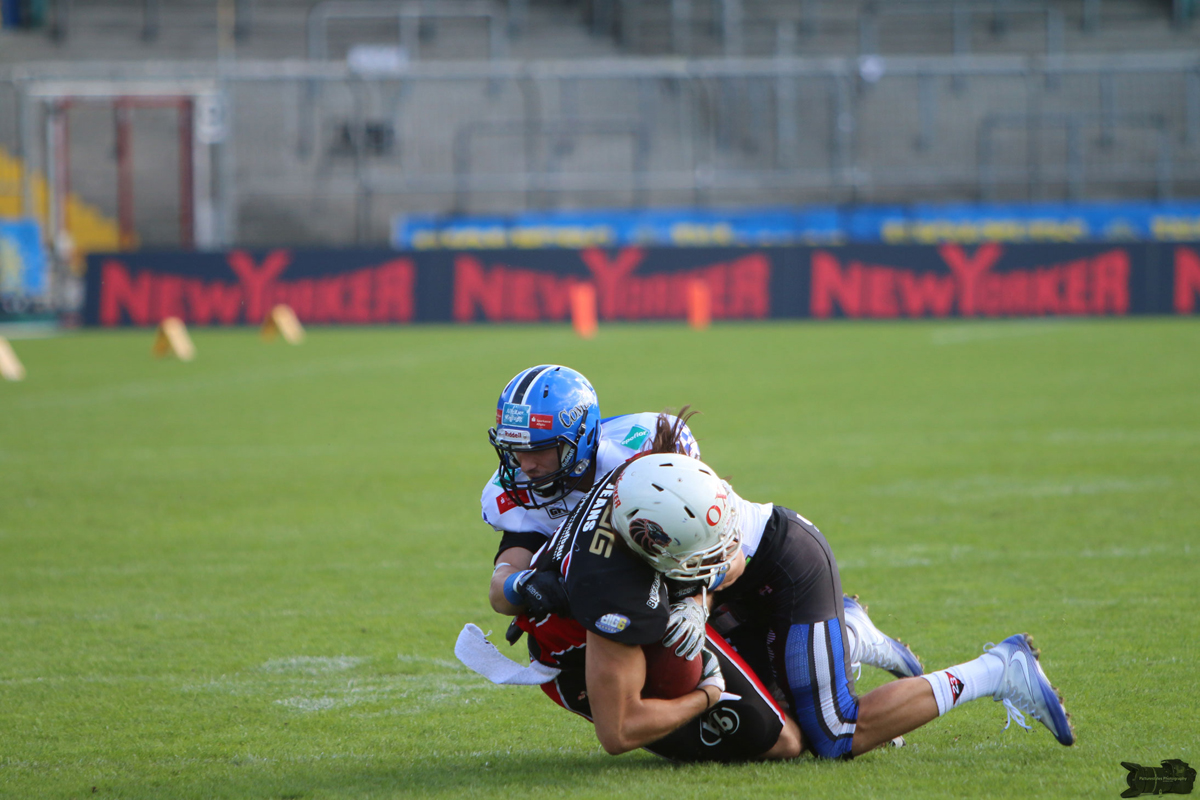 IMG_1312.jpg