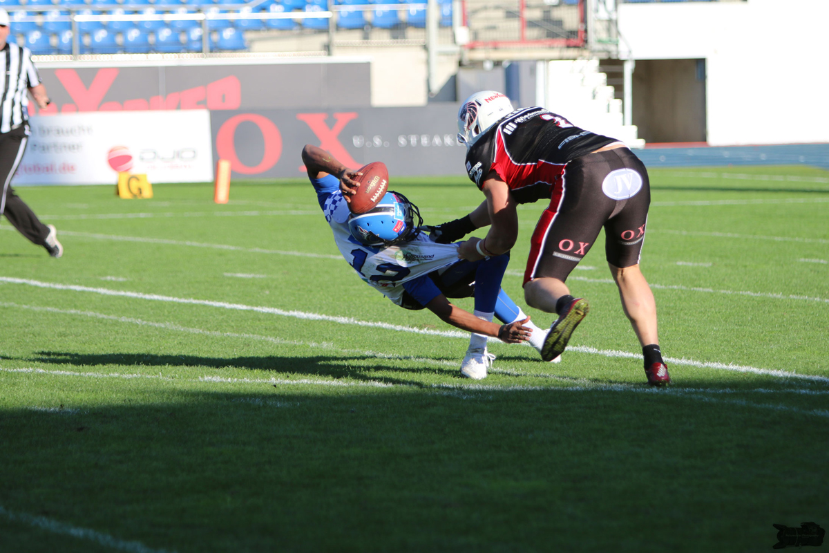 IMG_1467.jpg