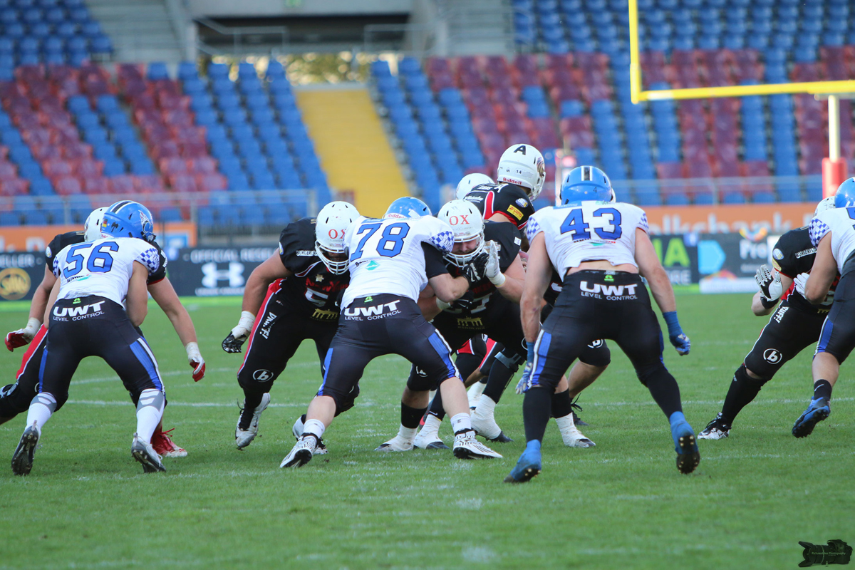 IMG_1496.jpg