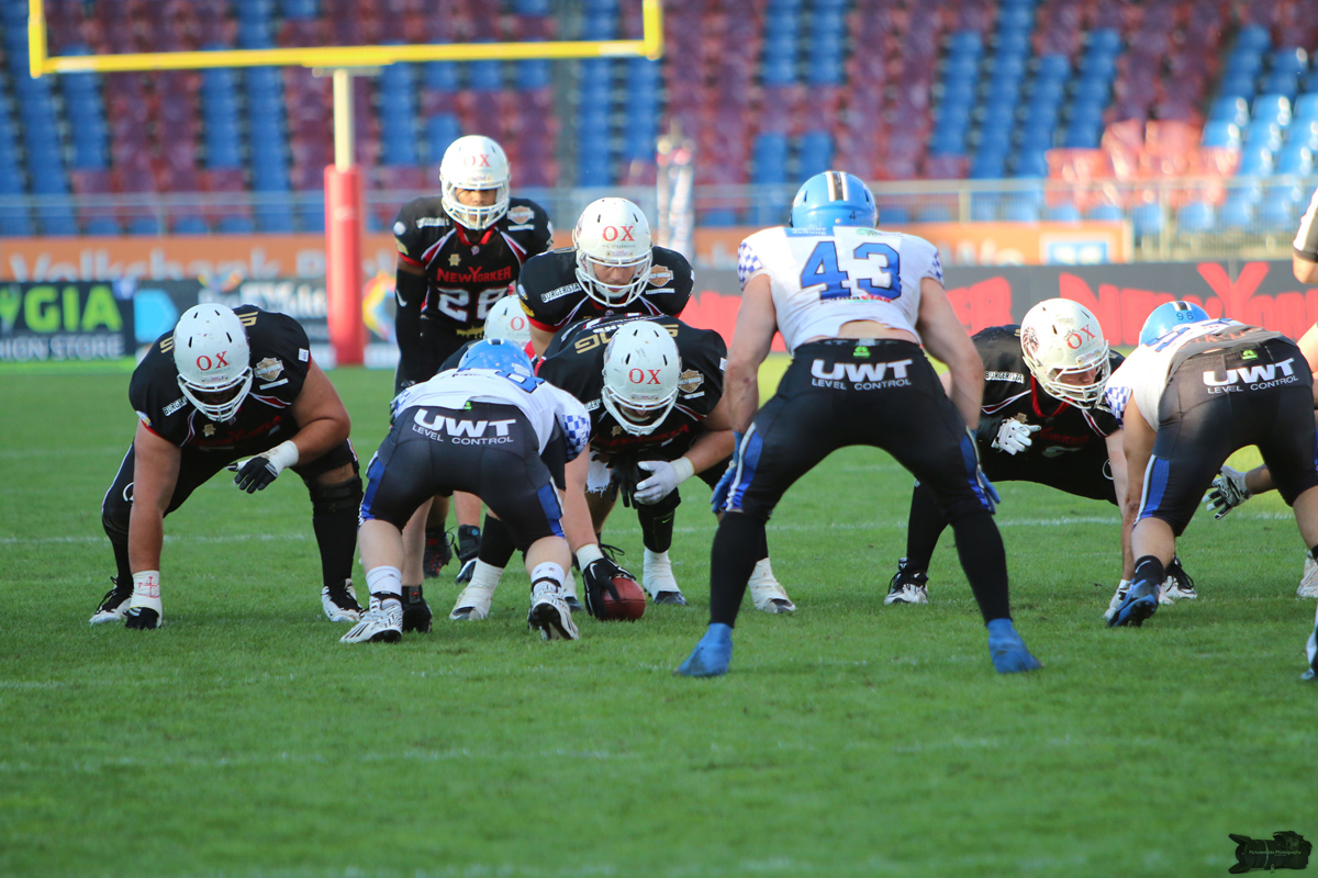 IMG_1500.jpg