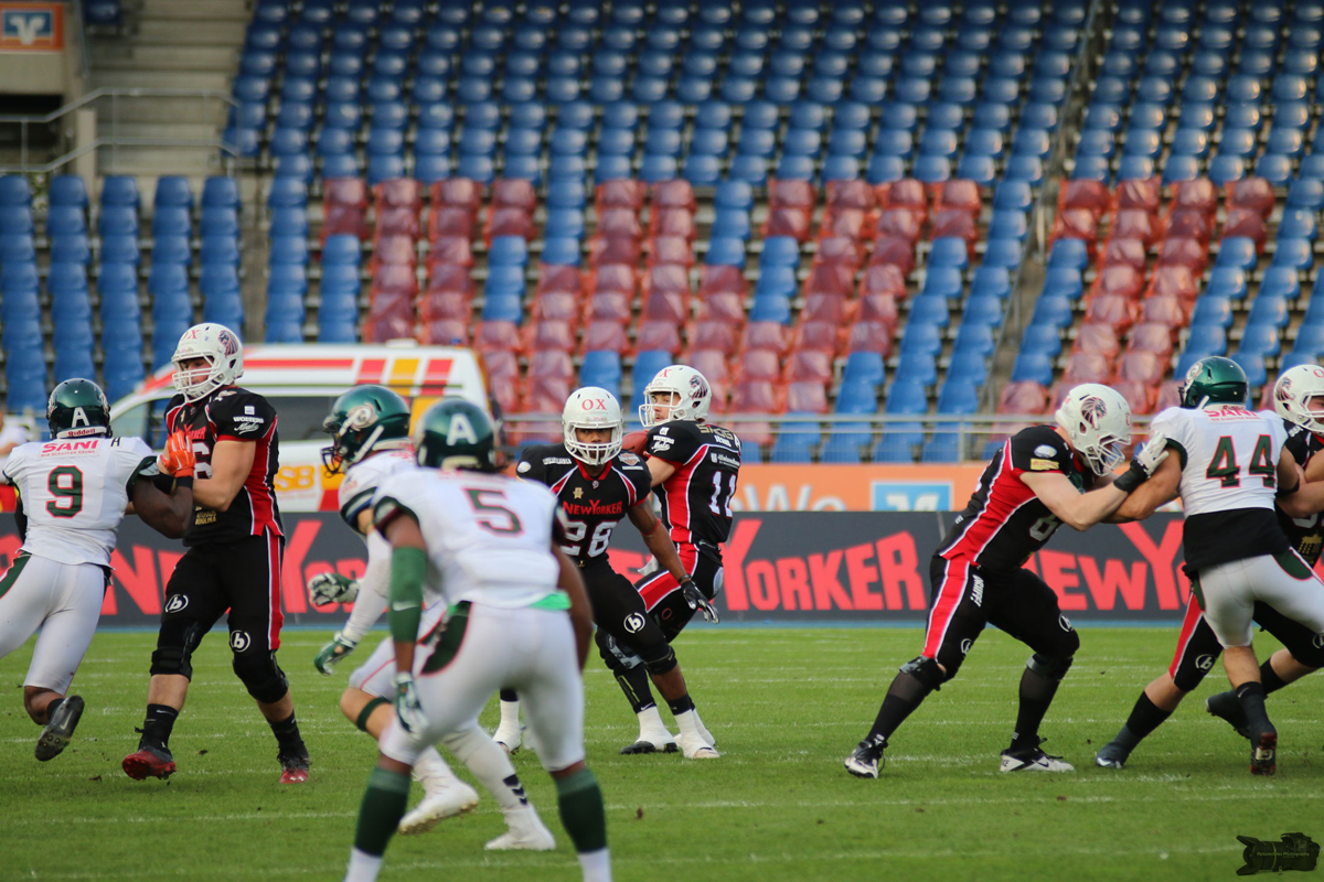 IMG_1689.jpg