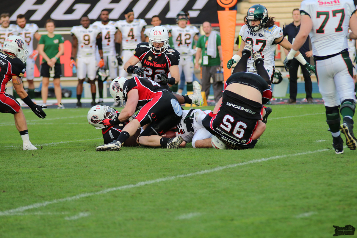 IMG_1704.jpg