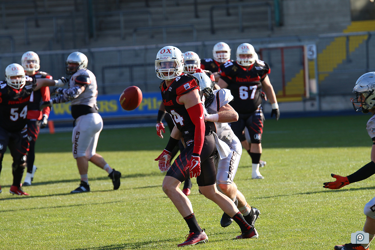 IMG_6882.jpg