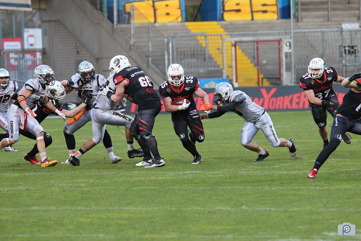 IMG_7225.jpg