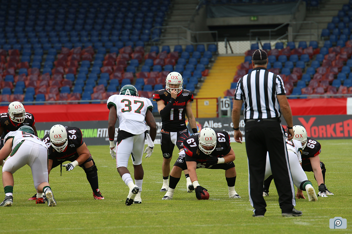 IMG_3701.jpg
