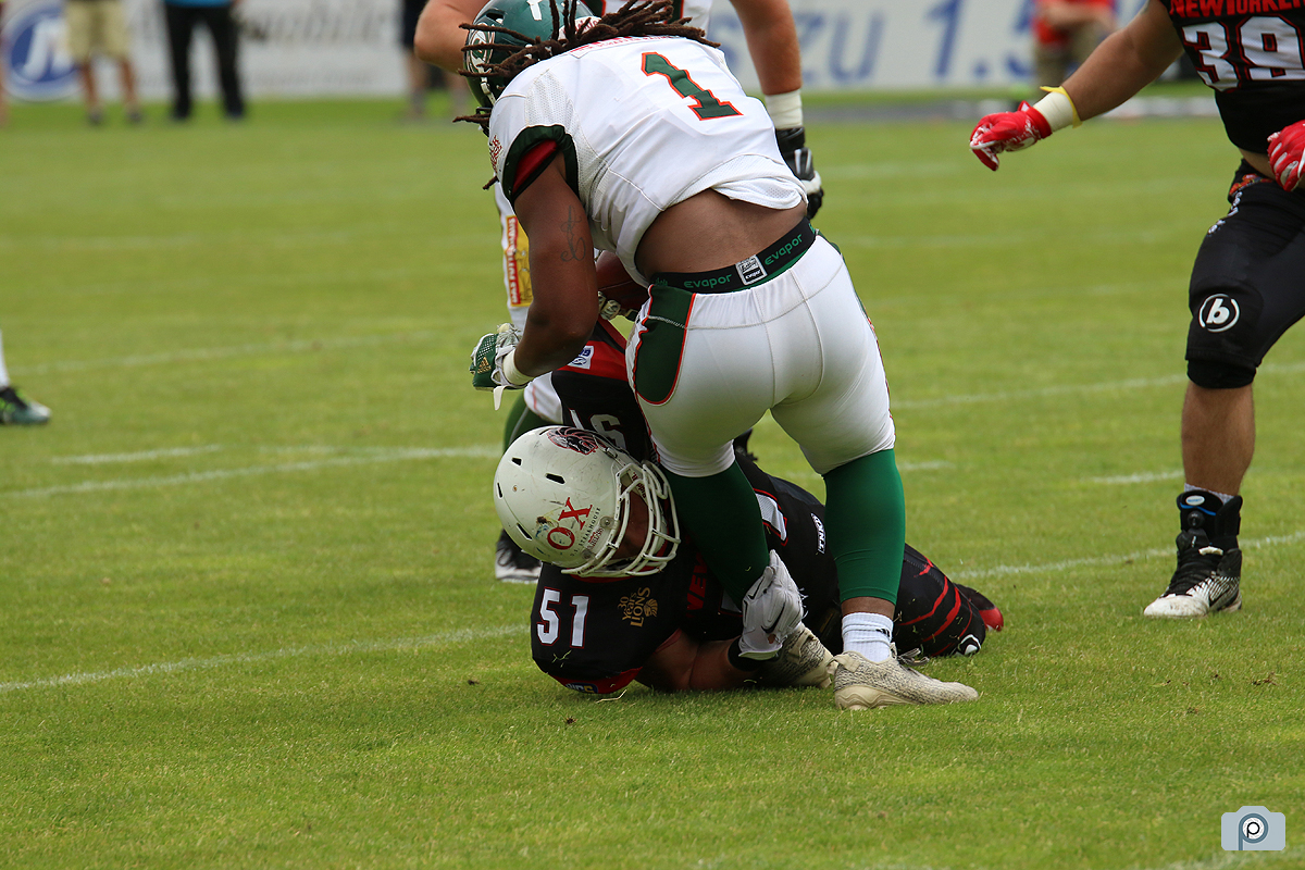 IMG_3731.jpg