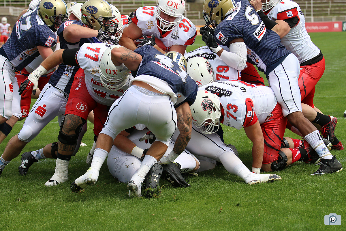 IMG_4447.jpg