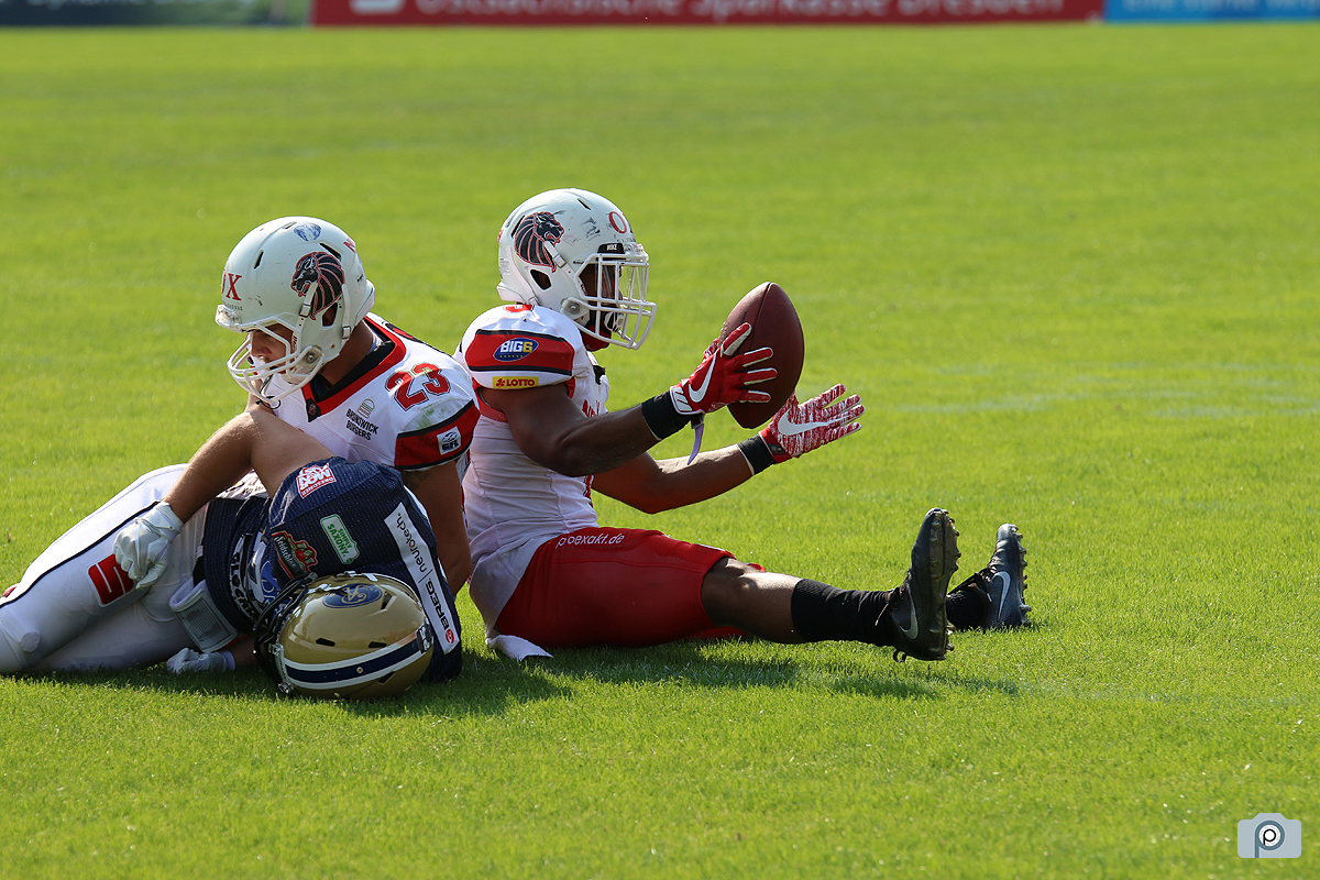 IMG_4732.jpg