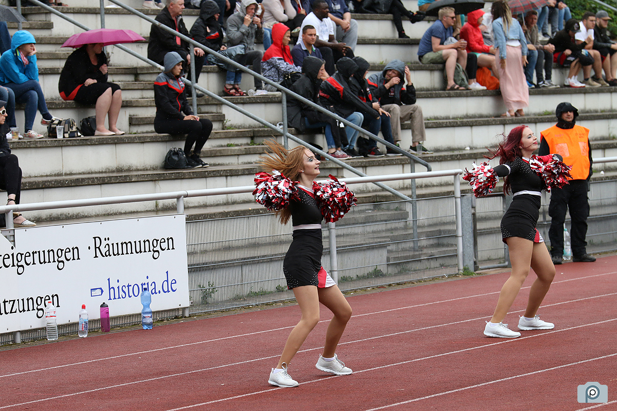 IMG_5241.jpg