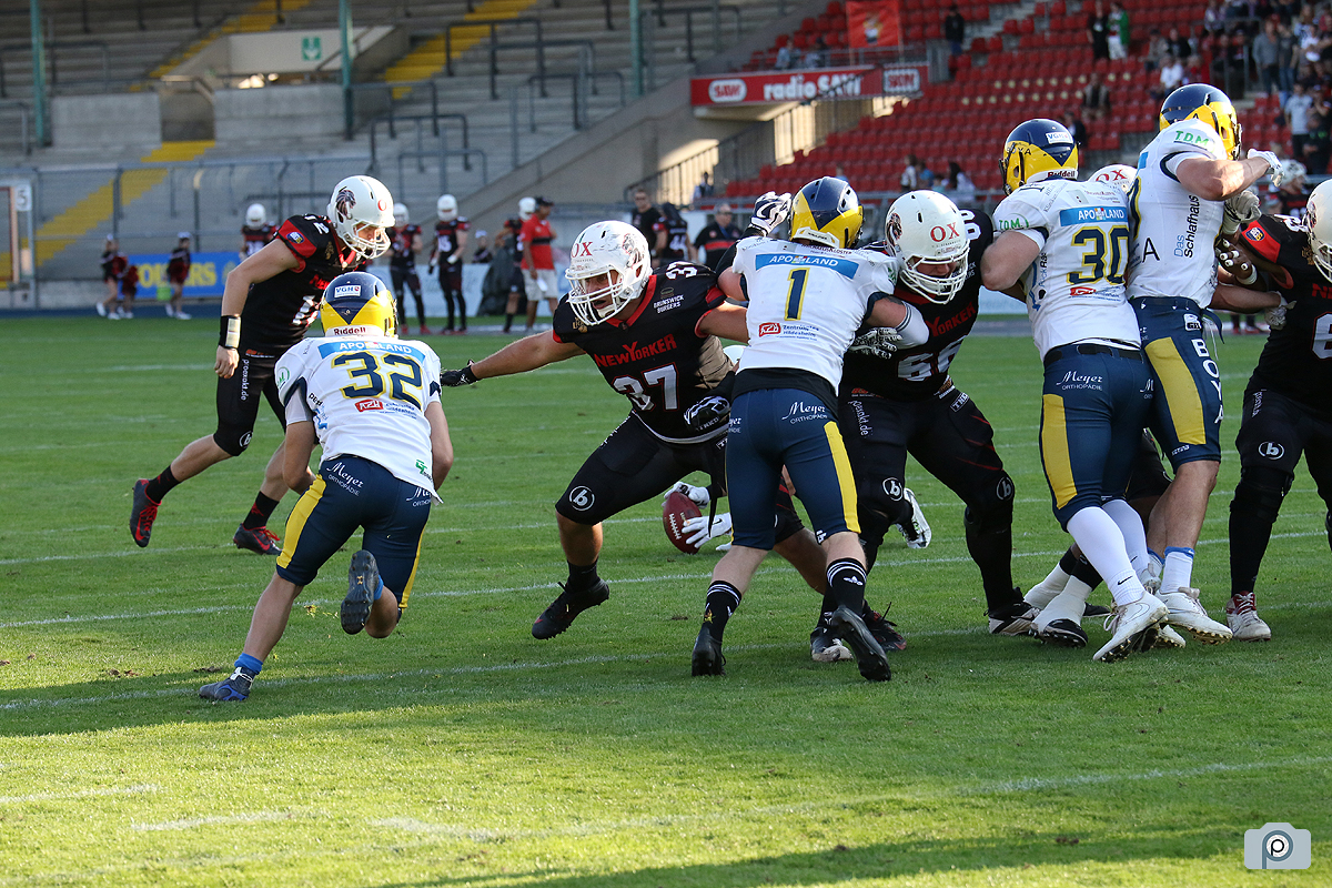IMG_8123.jpg