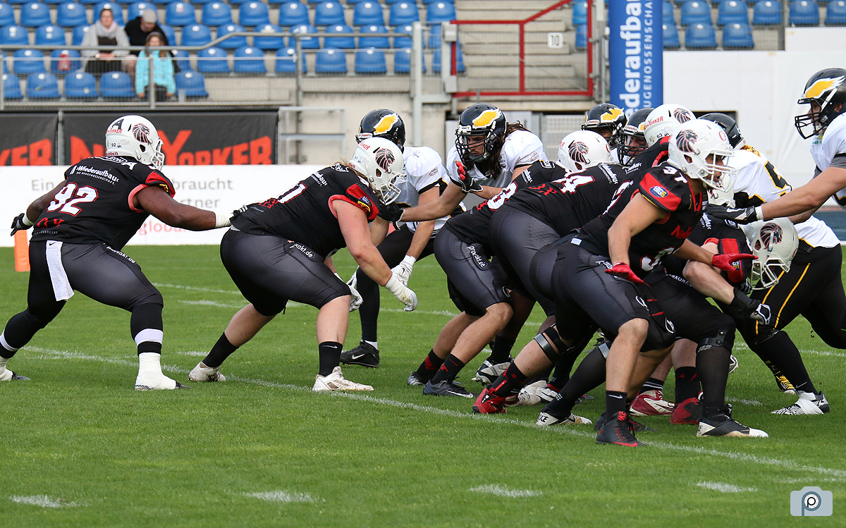 IMG_9228.jpg