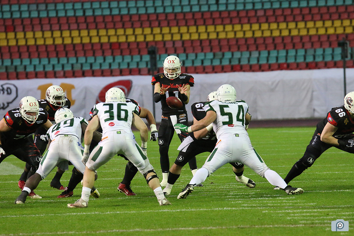 IMG_1274.jpg
