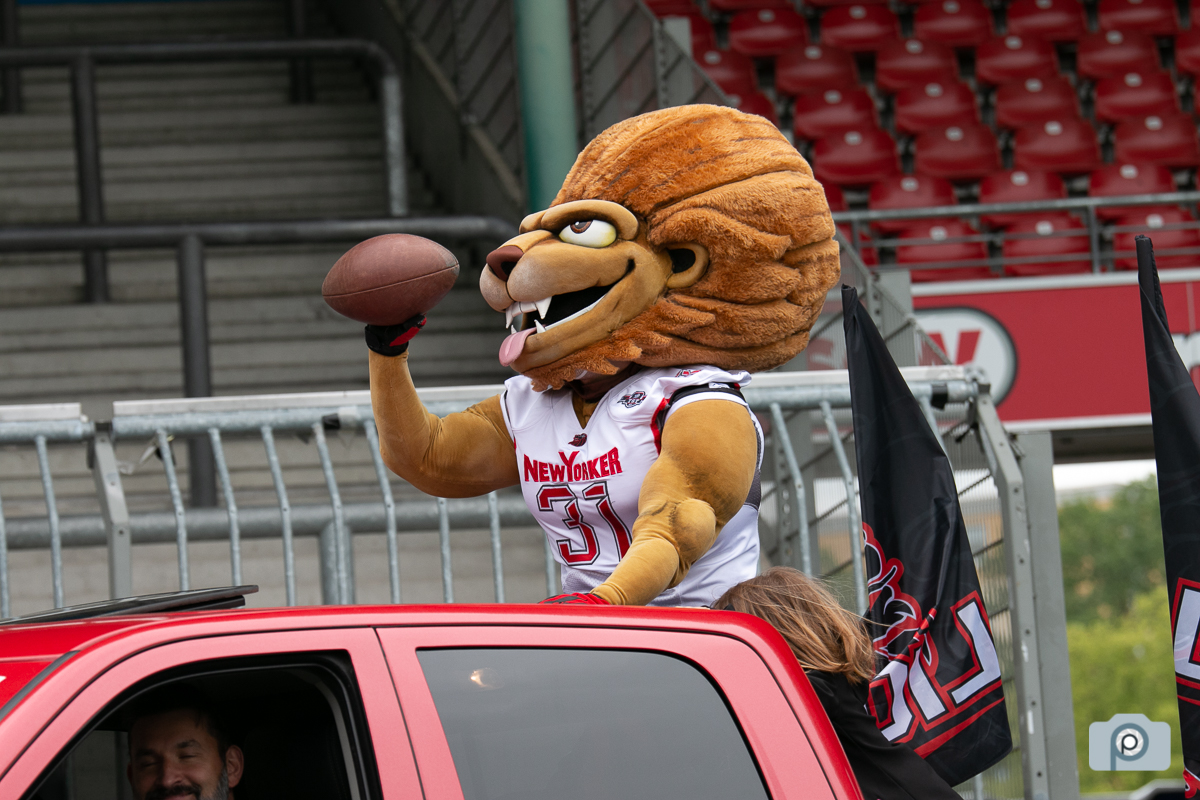 GFL2019_26052019_vs_Potsdam_0013.jpg