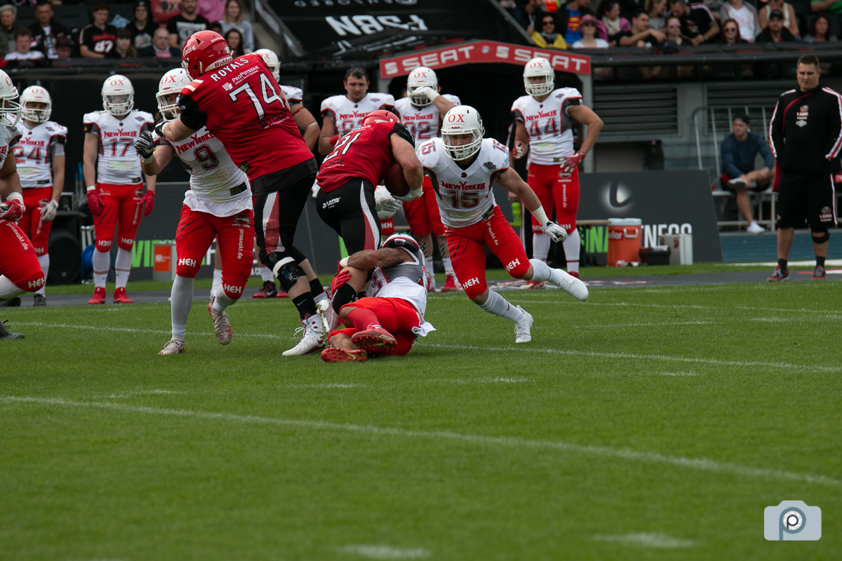 GFL2019_26052019_vs_Potsdam_0064.jpg